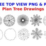 Tree Top View PNG and PDF