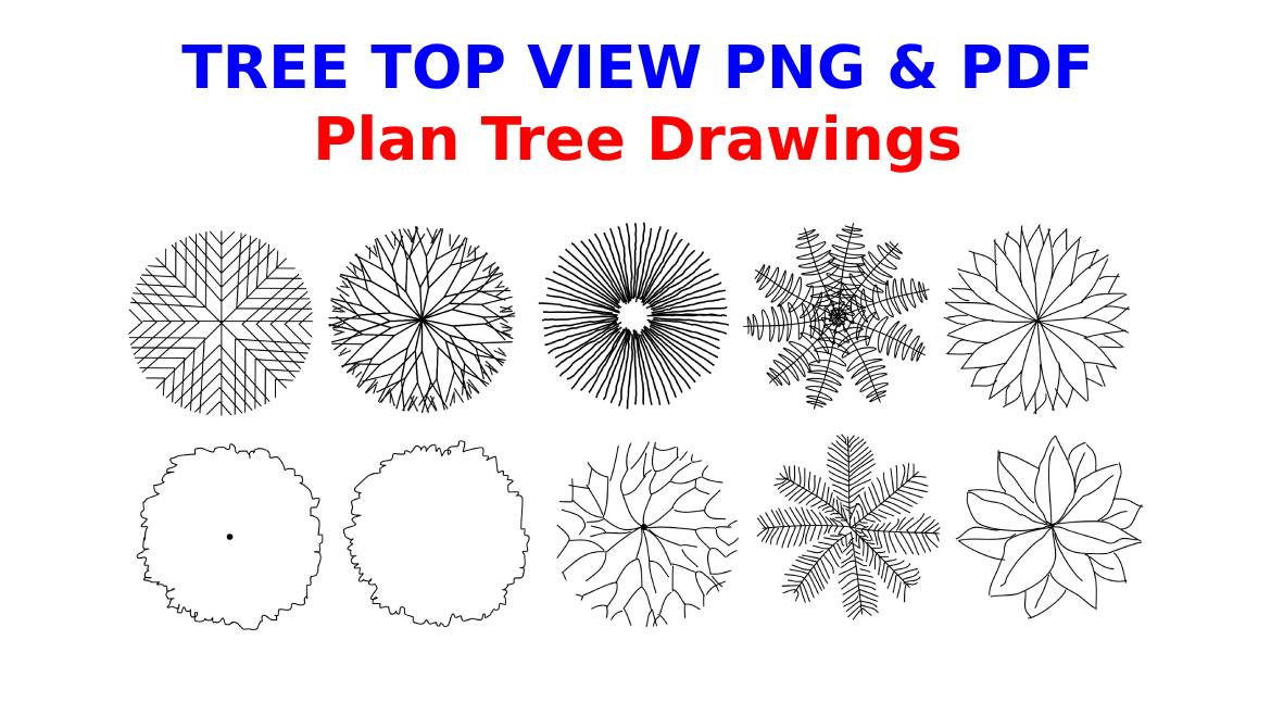 Tree Top View PNG & PDF for Floor Plans - Plan Tree Drawings - Free Download